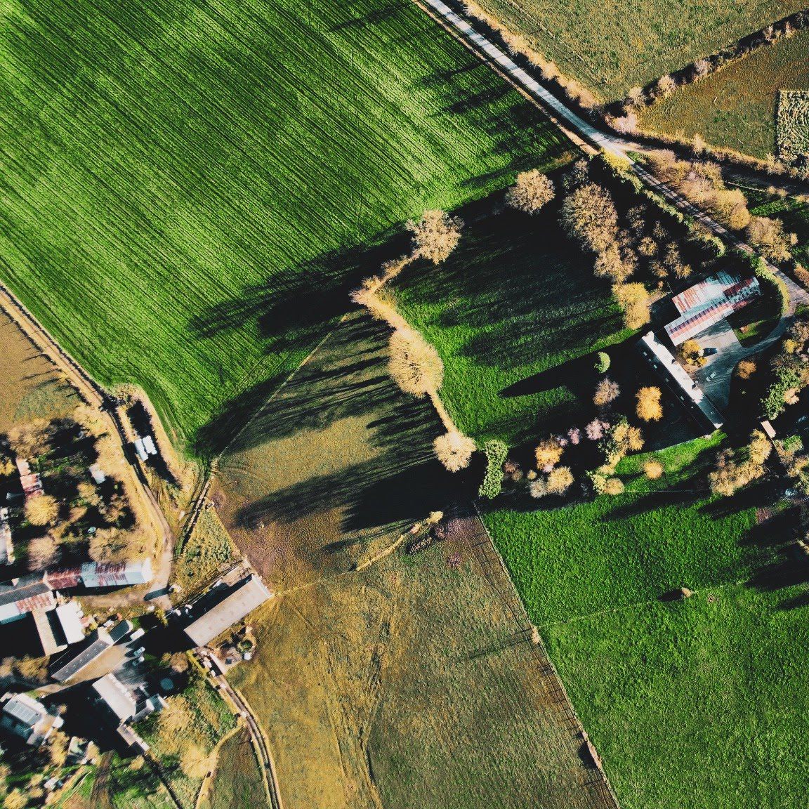 Aerial photograph 12